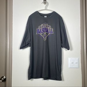 Greyhound baseball shirt, grey, purple, and yellow